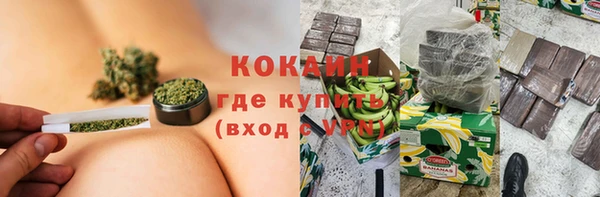 ПСИЛОЦИБИНОВЫЕ ГРИБЫ Михайлов