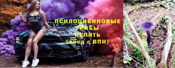 спайс Алексин