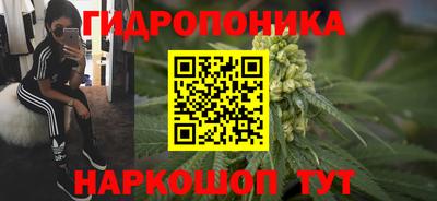 сатива Сертолово