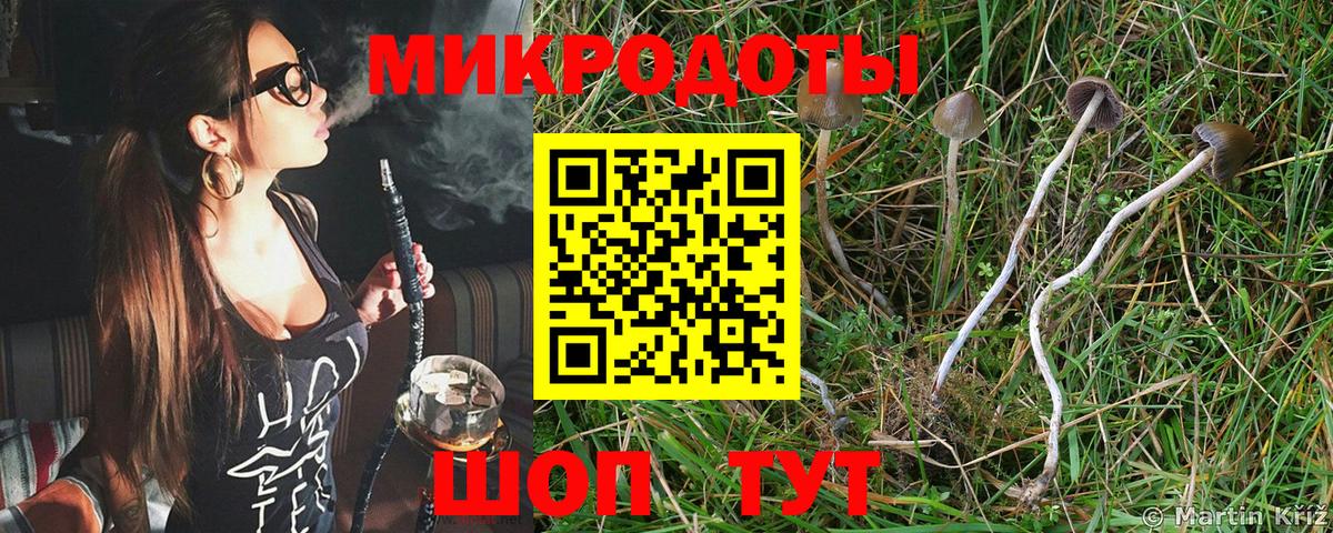 Галлюциногенные грибы Magic Shrooms  Вход с VPN  Галлюциногенные грибы прущие грибы  Волгоград 